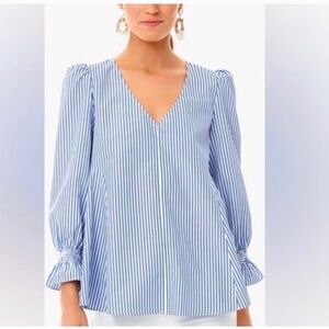 Tuckernuck BLUE & white Striped Easton V neck Blouse top sz small